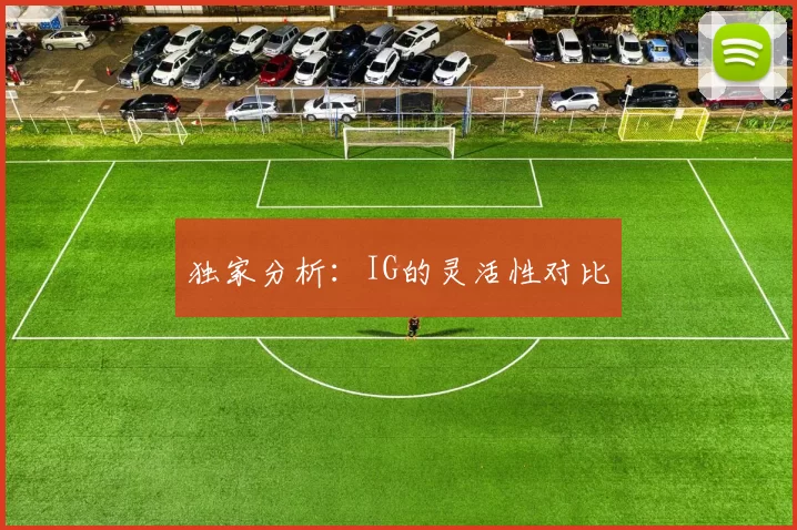 独家分析：IG的灵活性对比