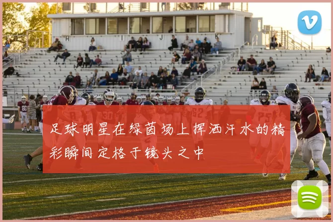 足球明星在绿茵场上挥洒汗水的精彩瞬间定格于镜头之中