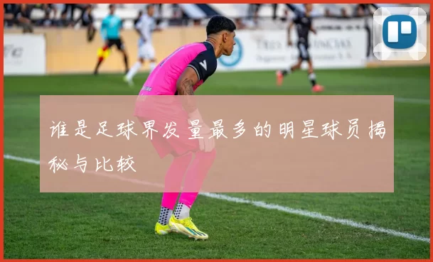 谁是足球界发量最多的明星球员揭秘与比较