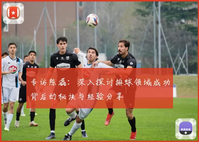 专访陈磊：深入探讨排球领域成功背后的秘诀与经验分享