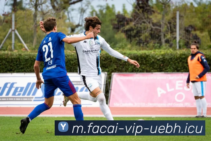 开云体育品牌故事