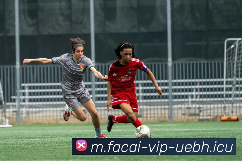 开云体育服务体系